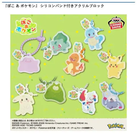 『ぽこ あ ポケモン』 シリコンバンド付きアクリルブロック